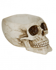 Big Skull Bowl With Open Skullcap