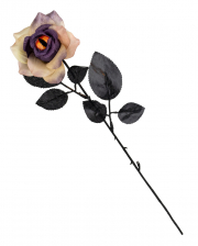 Verwelkende Rose mit Drachenauge 42cm 