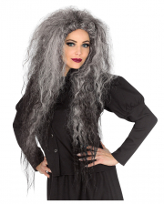 Wild Witches Wig Grey 