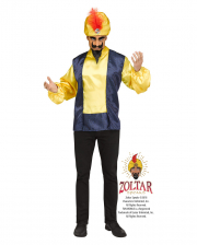 Zoltar Speaks Costume 