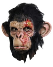 Infizierte Affenmaske 