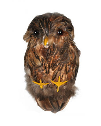 Deko Eule braun für deine Halloween-Dekoration | Horror ...