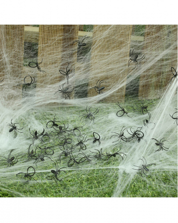 6 Halloween Spinnen Deko - Realistisch & Gruselig Für Party-Dekoration