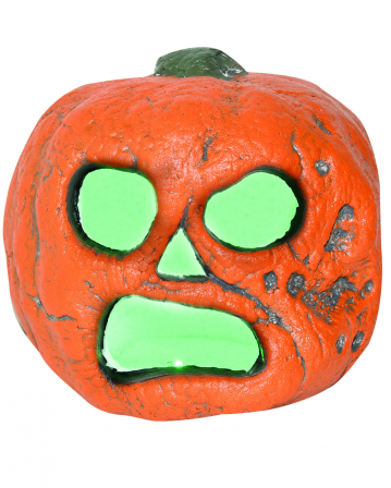 Halloween Kürbis als Halloween Dekoration | Horror-Shop.com