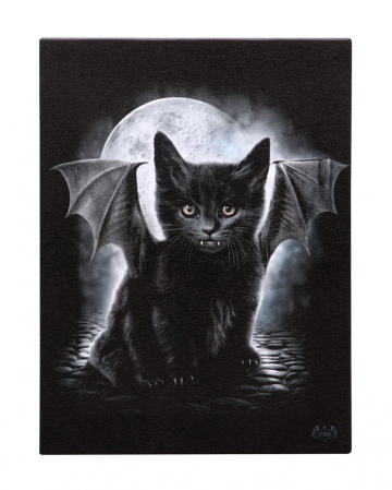 Bat Cat Leinwand Bild 19 x 25 cm 