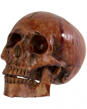 Bloody Skull With Moving Jaw 