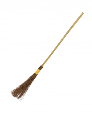 Witches` broom 101 cm 