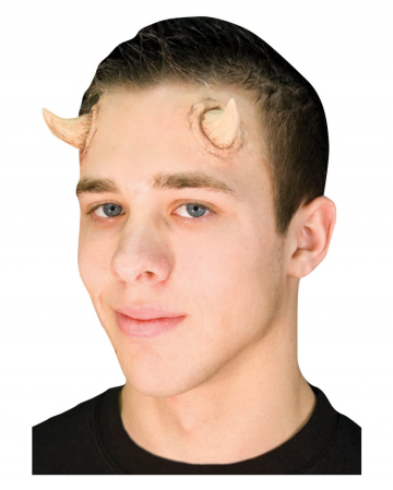 Latex horns Klein 