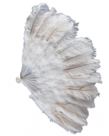 White Burlesque Feather Fan XXL 50cm 
