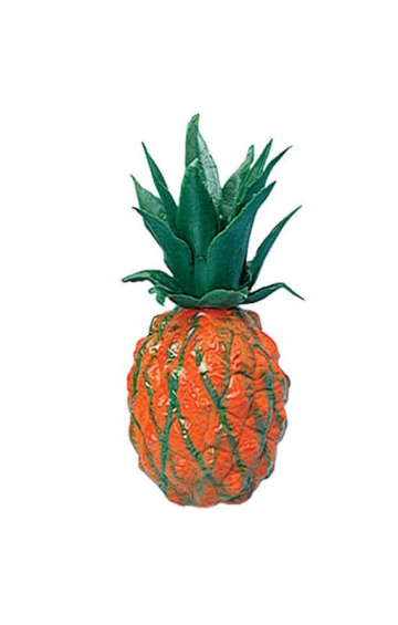 Summer Party Pineapple 