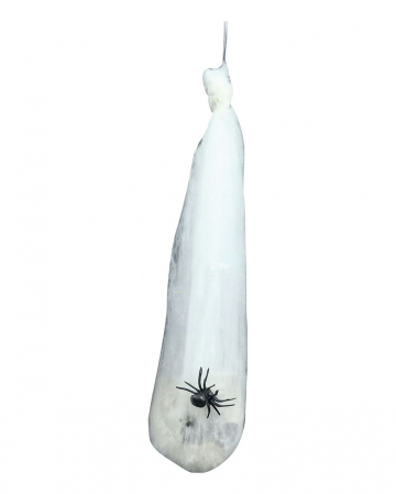 Spinnweben Kokon mit Totenschädel 