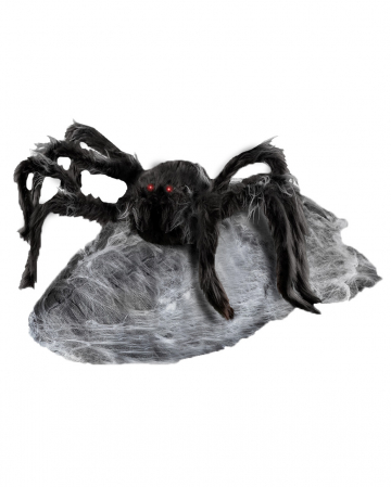 Giant Jumping Spider 90cm 