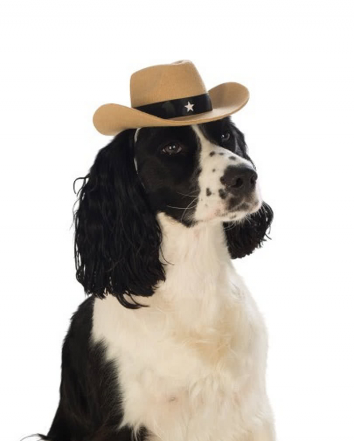 Cowboy Kostüm Für Hunde - Hut, Sonnenbrille, Halstuch & Fliege Set