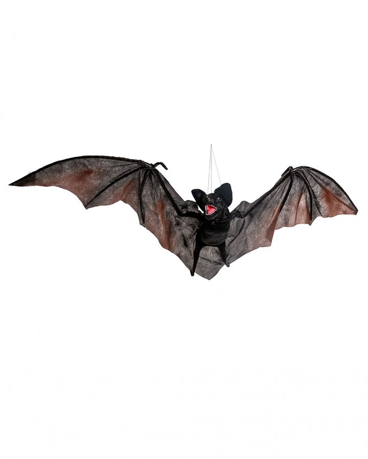 Vampire Bat Animatronic for Halloween | Horror-Shop.com