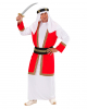 Orient Prince Costume 