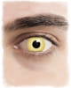 Avatar Contact Lenses 