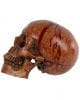 Bloody Skull With Moving Jaw 
