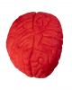 Bloody Brain As A Halloween Prop 15cm 