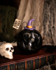 Boo Y'all Halloween Jack O'Lantern mit LED 14cm 