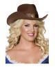 Brauner Cowboyhut aus Filz 