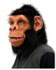 Schimpanse Vollkopfmaske mit Haaren 