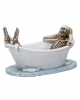 Skeleton In The Bathtub 