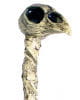 Voodoo Zeremonienstab mit Krähenkopf 