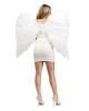 White angel wings great 