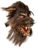 Wolf Man Horror Mask 