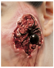 Arachnophobia FX Latex Wound  2