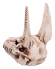 Anubis Totenkopf Figur 17cm 