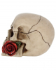 Beiger Totenkopf mit roter Rose 15cm 