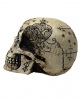 Fantasy Skull With Mystic Pattern 