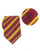 Harry Potter Gryffindor Tie With Pin 