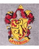 Gray Harry Potter Gryffindor Sweater 