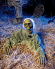 Skeleton Gravebreaker Zombie 