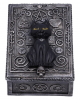 Tarot Casket Black Cat 