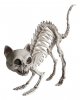 Cat Skeleton With Cat Hump Decoration 19cm 