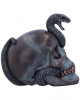 The Fate Of The Snake Gothic Skull 19cm 
