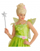 Fairies wand with silver star 