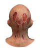 Freddy Krueger Maske Deluxe Nightmare 4 