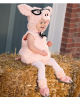 Hipster Schweinchen Kleinkinderkostüm 