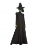 Wicked Witch Costume For Adults 