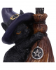 Witch Cat With Witch Broom 11,5cm 