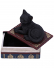 Black Cat On Spell Books Box 11,7cm 