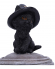 Black Cat With Witch Cauldron Casket 14cm 
