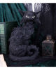 Salem Witch Cat 32,5cm 