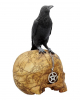 Salem Skull With Raven 