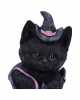 Black Cat In Witch Boot 