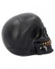 Black Skull With Golden Rose 15cm 